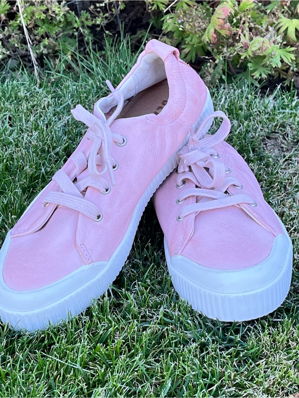 Blackstone Sneakers Low-Profile Ballet Flat Hybrid Slip-On Pink Leather W7.5